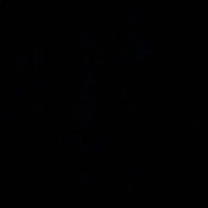 Meet your Posher, Donovan